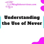 Understanding the Use of Never